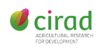 cirad logo